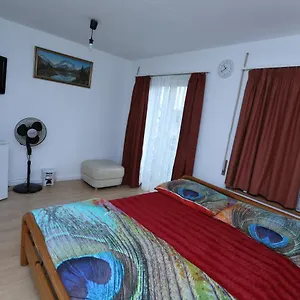  Alloggio in famiglia Glatthall Svizzera